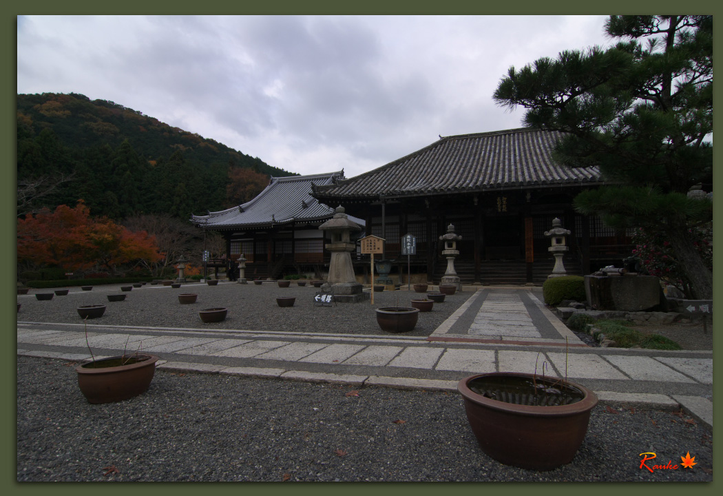 秋色・當麻寺 奥院_e0150228_22442119.jpg