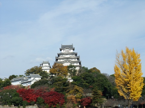f0013029_1858134.jpg