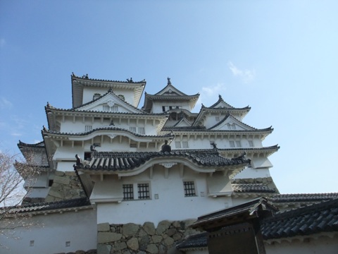 f0013029_18593573.jpg