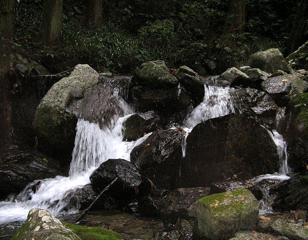 a0137132_6454213.jpg