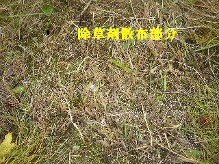 草刈り作業_f0031037_1902653.jpg