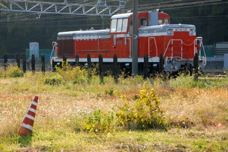 c0185241_0434476.jpg