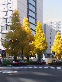 c0197248_15165588.jpg