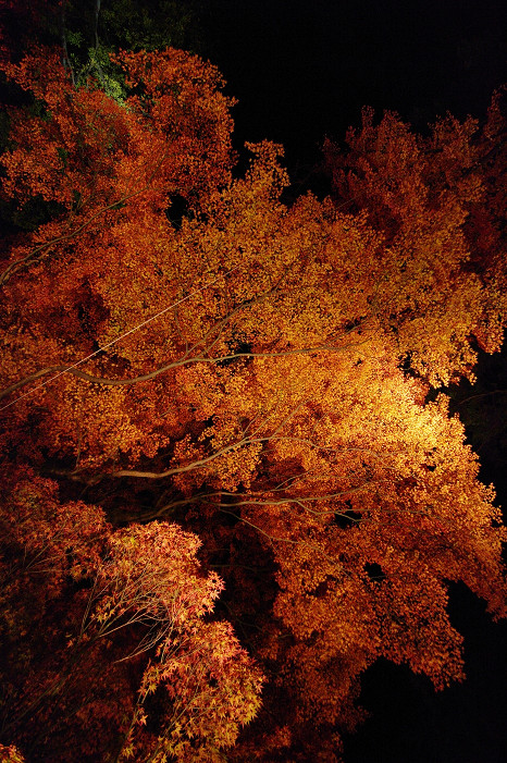 f0152550_2135266.jpg