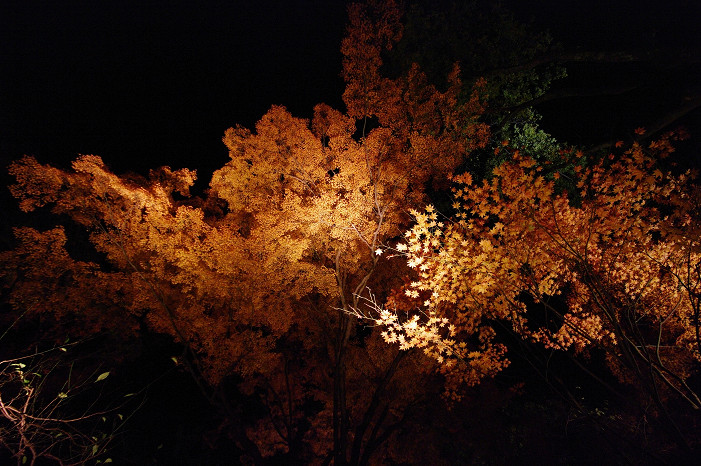 f0152550_21353353.jpg