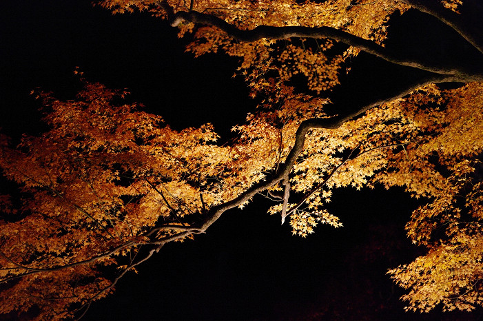 f0152550_2136897.jpg