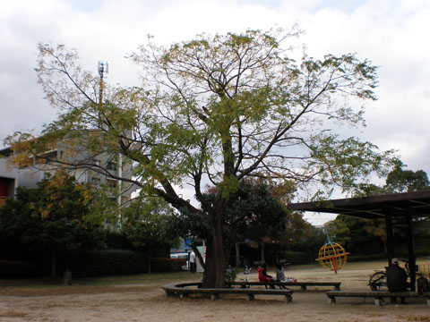 c0125356_23561415.jpg