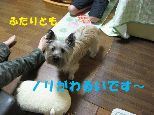 c0202659_2264882.jpg