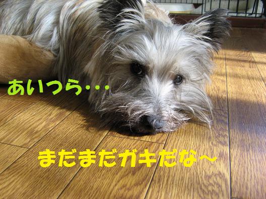 c0202659_2273629.jpg
