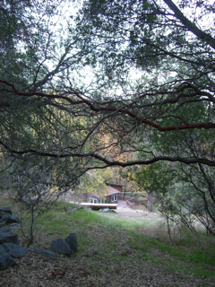c0148962_12243777.jpg