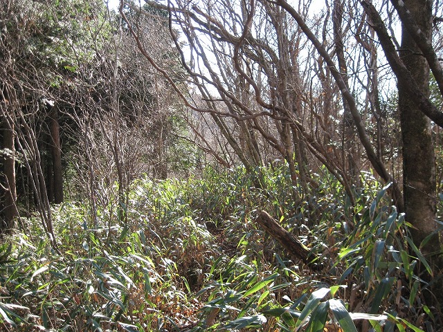 c0219866_9241049.jpg