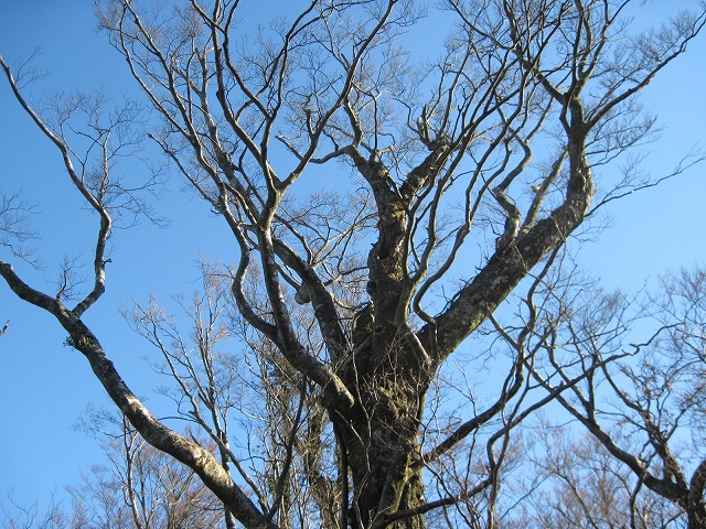 c0219866_9242389.jpg