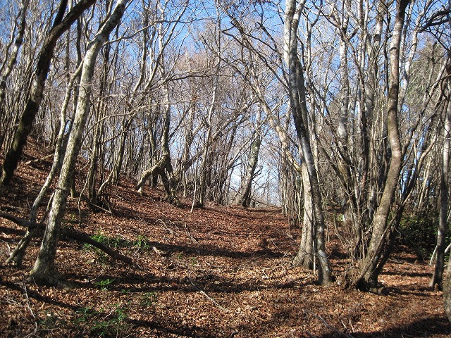c0219866_9283253.jpg