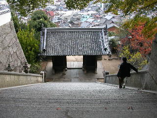 a0064474_16285374.jpg