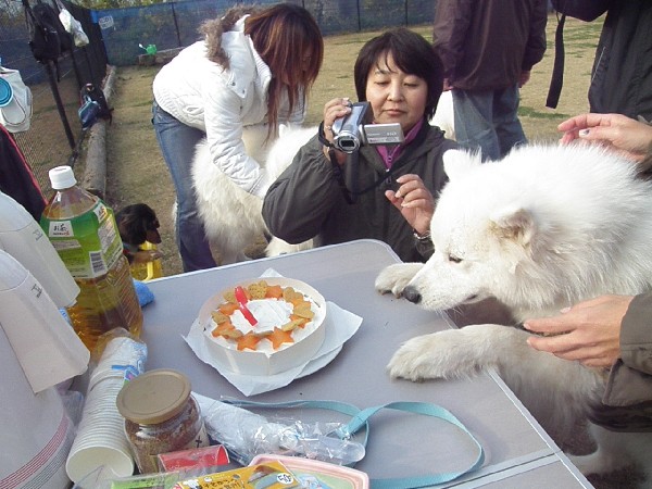 一期生全員集合・その３・ケーキでお祝い編。_f0111475_5564760.jpg