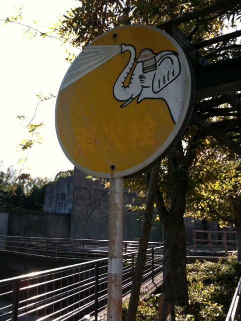 動物園日和ですね。_b0120877_8354152.jpg