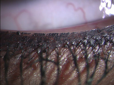 a0122285_1530366.jpg