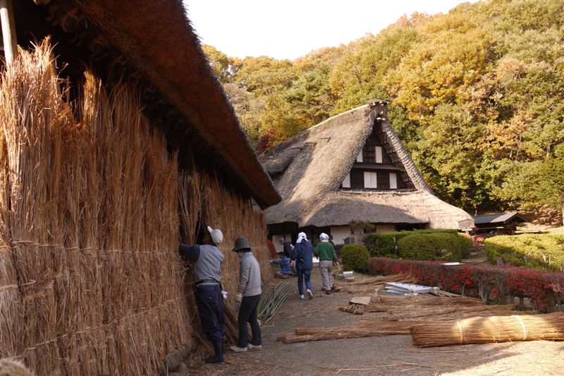 古民家と紅葉(生田緑地)_b0175688_1533456.jpg