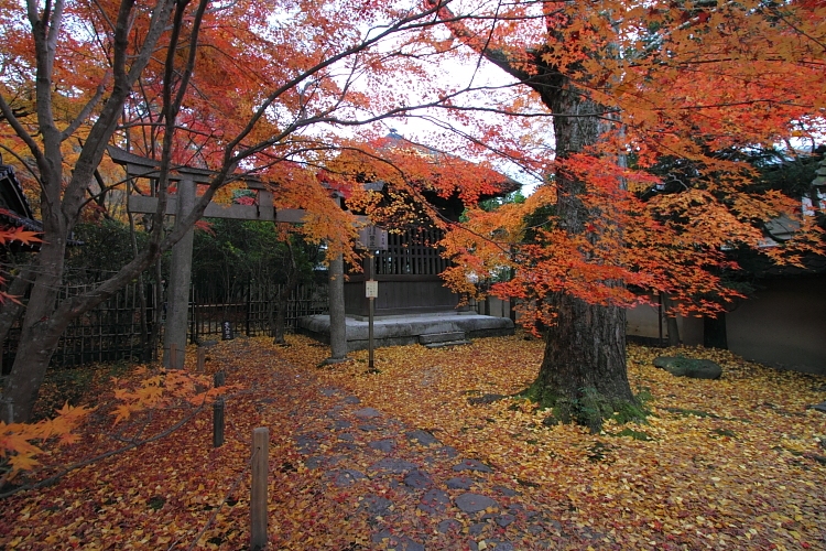 蓮華寺_e0051888_22114532.jpg