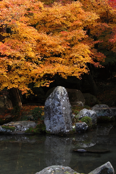 蓮華寺_e0051888_22115780.jpg