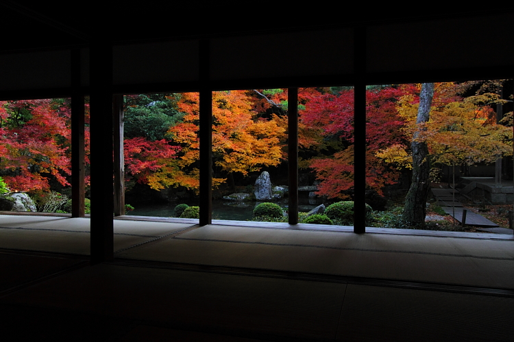 蓮華寺_e0051888_22123420.jpg