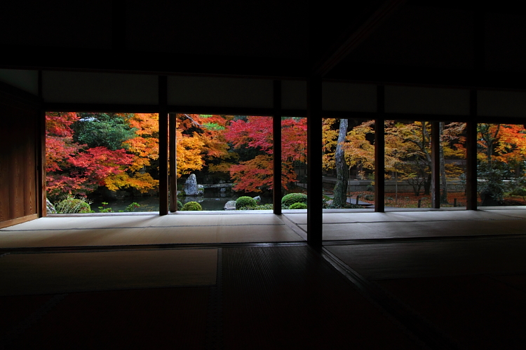 蓮華寺_e0051888_22124555.jpg