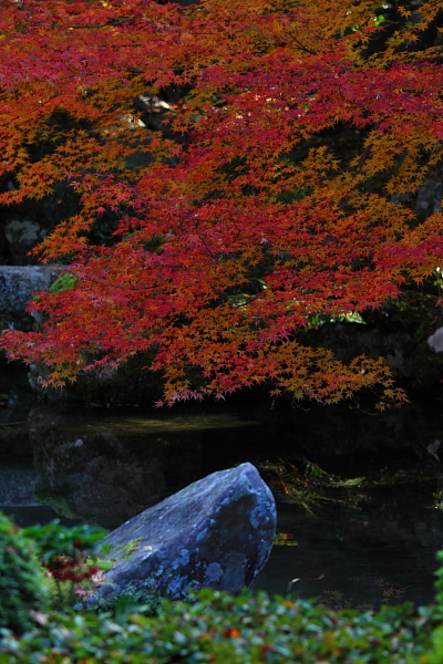 蓮華寺_e0051888_2212997.jpg