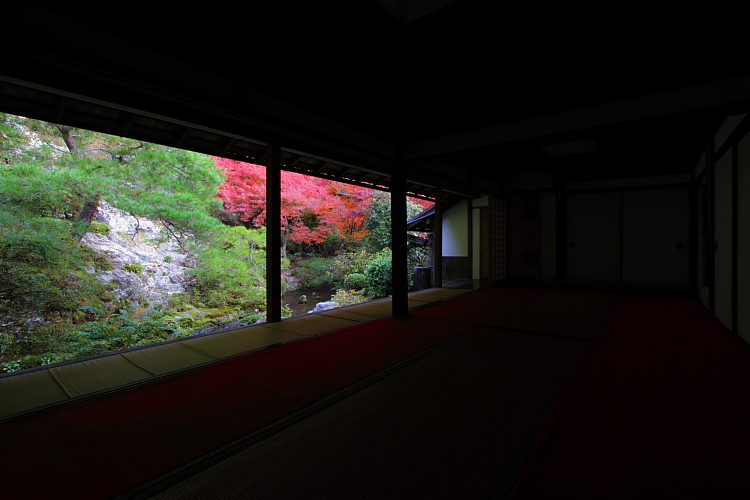 蓮華寺_e0051888_22134075.jpg