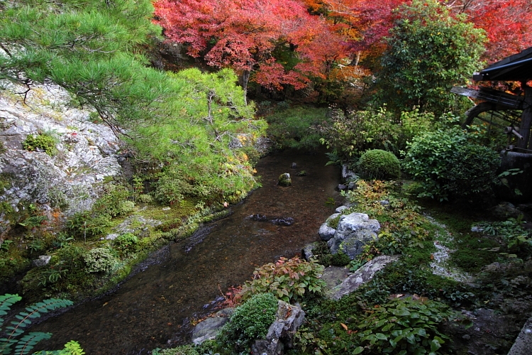 蓮華寺_e0051888_2214649.jpg