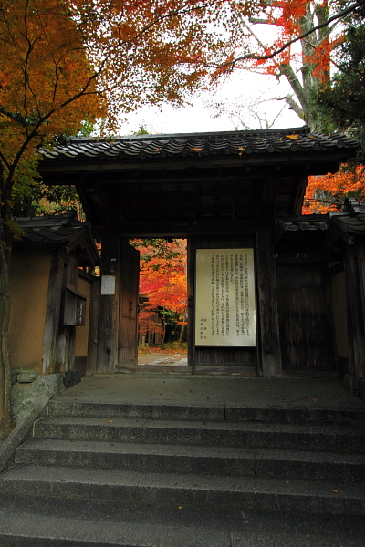 蓮華寺_e0051888_2215362.jpg