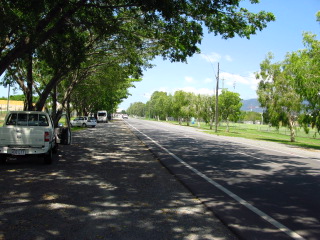 a0140991_885249.jpg
