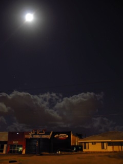 a0140991_894074.jpg