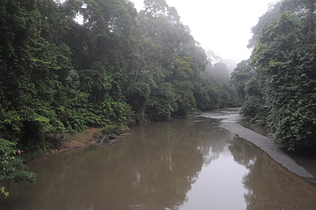 d0133295_10361114.jpg