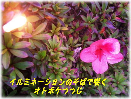 a0075802_18535337.jpg