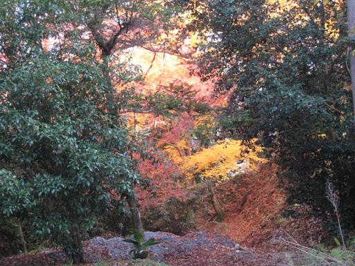 長谷寺_a0101802_2018413.jpg