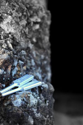 Ｎew Men_f0000302_225147.jpg