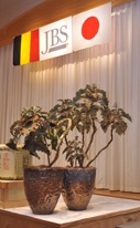 c0173105_1552012.jpg
