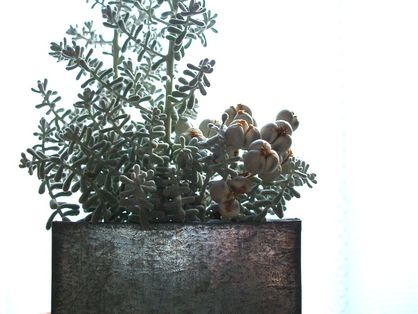 e0117805_12563777.jpg