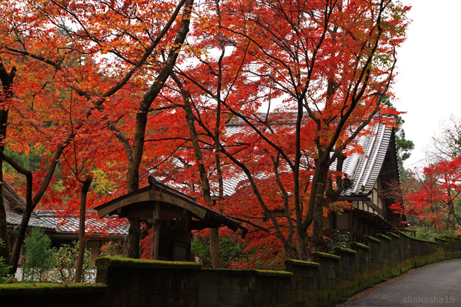 吟松寺の紅葉_f0181310_20441066.jpg