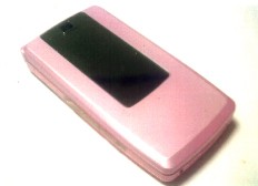 奈良の柿・母携帯デビュー_a0116217_1404345.jpg