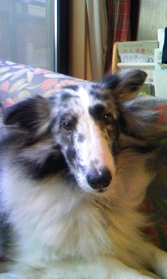 c0150520_23302727.jpg