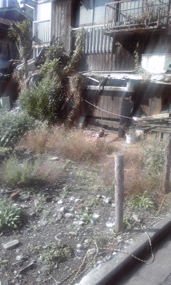 c0160822_12571152.jpg