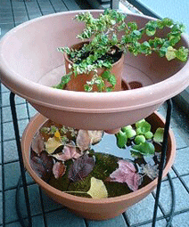 d0048332_12204.gif
