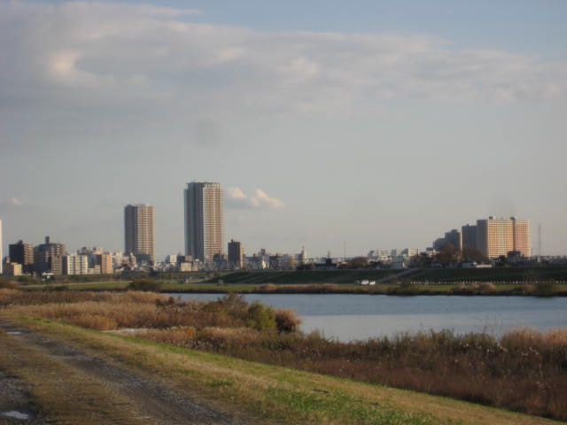 e0166032_2028082.jpg