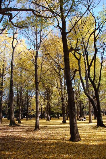 秋の公園にて_c0099133_23212637.jpg
