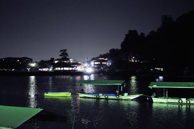 宝厳院 ライトアップ_e0067435_2258204.jpg
