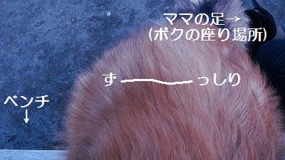 ボクの椅子♪_e0195743_14222447.jpg