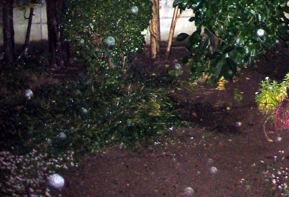 d0075649_12182746.jpg