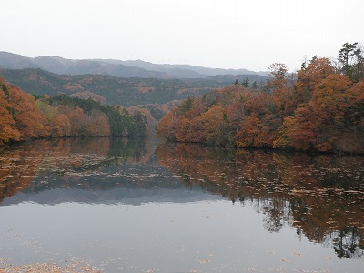 d0048350_19545913.jpg