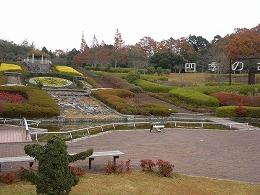 d0048350_19563325.jpg